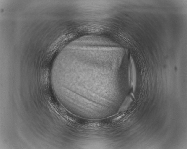 X0000052980744200507291551