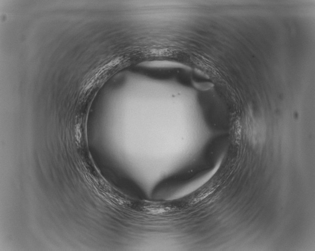 X0000052980746200507291551