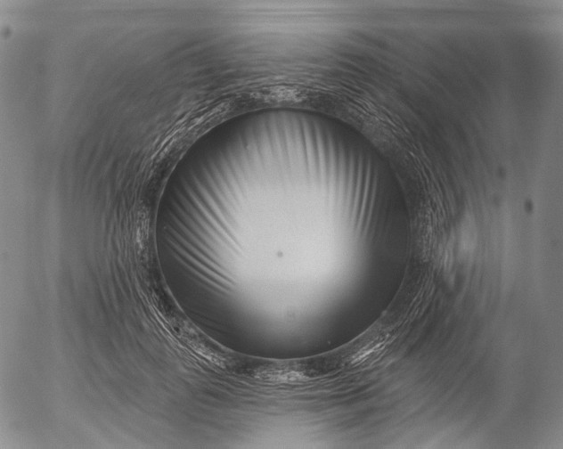 X0000052980747200507291551