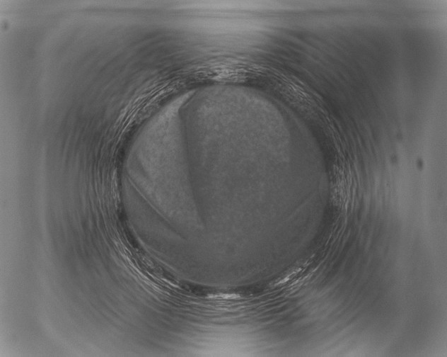 X0000052980748200507291551