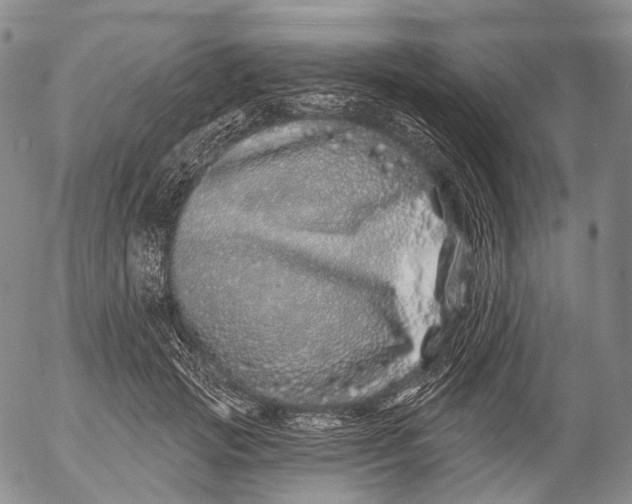 X0000052980749200507291551