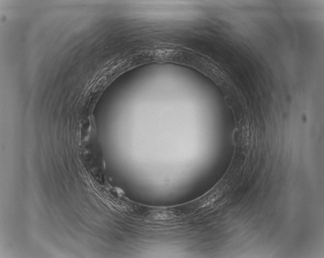 X0000052980750200507291551