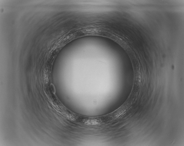 X0000052980751200507291551