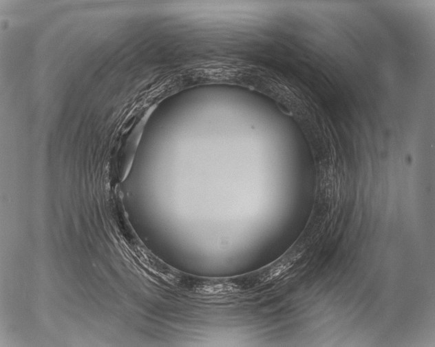 X0000052980752200507291551