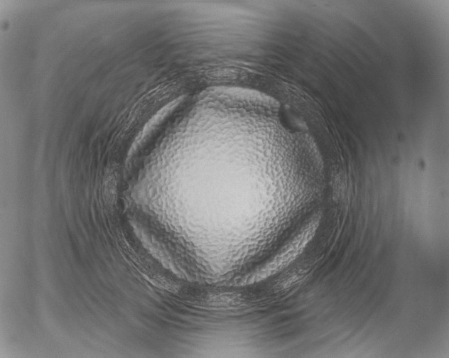 X0000052980753200507291551