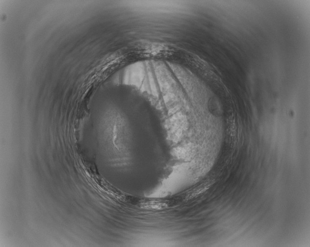 X0000052980754200507291551