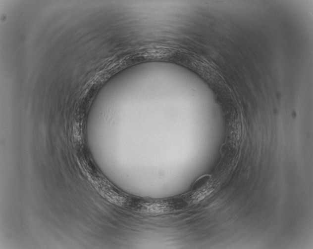 X0000052980755200507291551