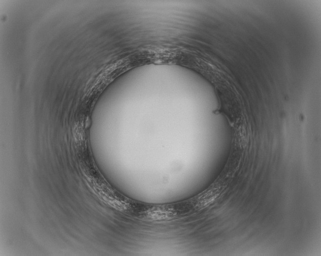 X0000052980756200507291551