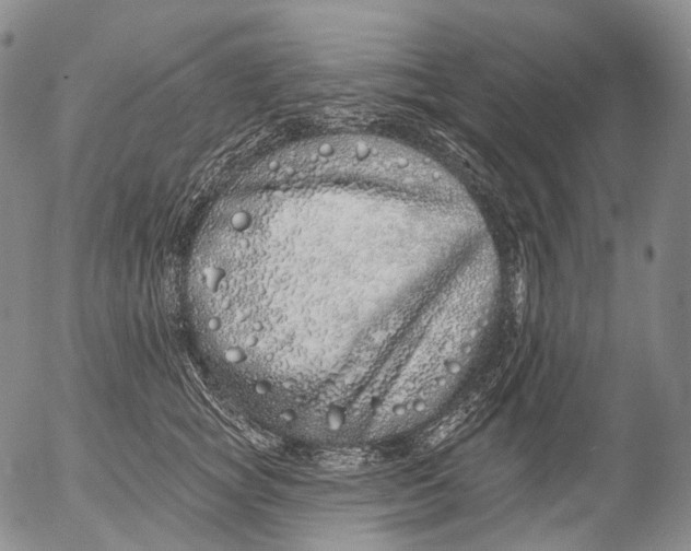 X0000052980757200507291551