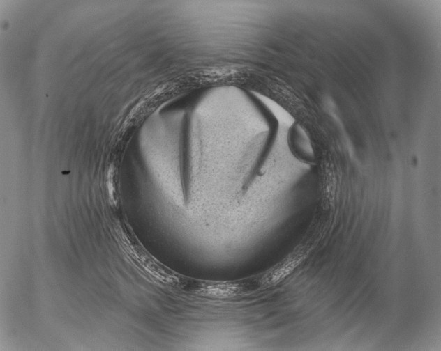 X0000052980758200507291551