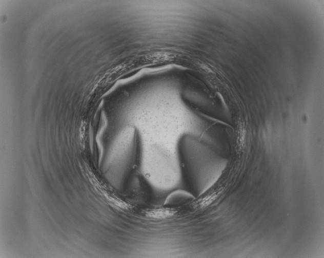 X0000052980759200507291551