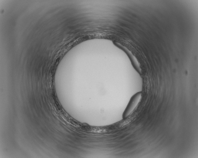 X0000052980760200507291551