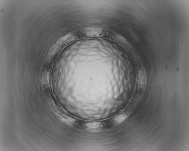 X0000052980761200507291551