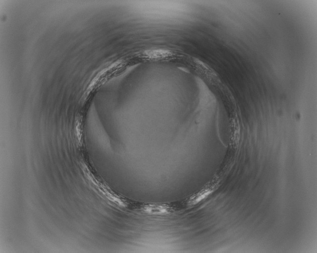 X0000052980762200507291551