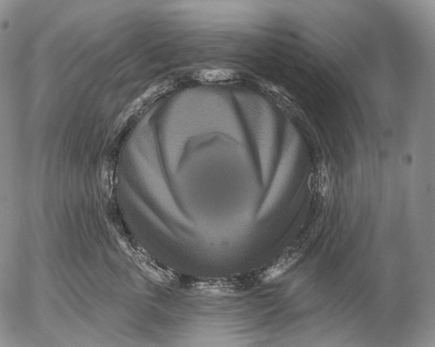 X0000052980763200507291551