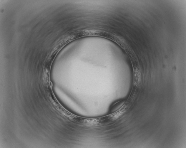 X0000052980765200507291551