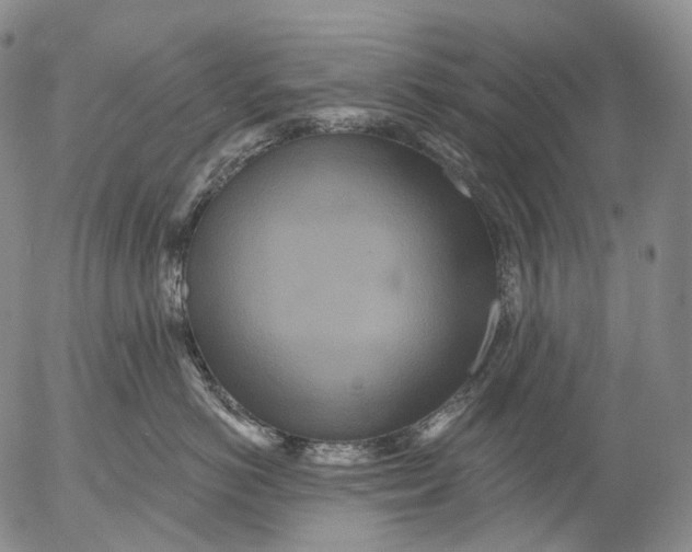 X0000052980766200507291551