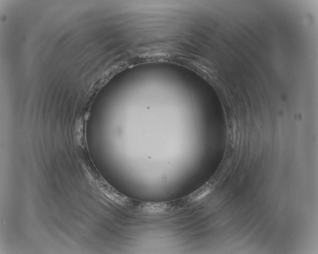 X0000052980767200507291551