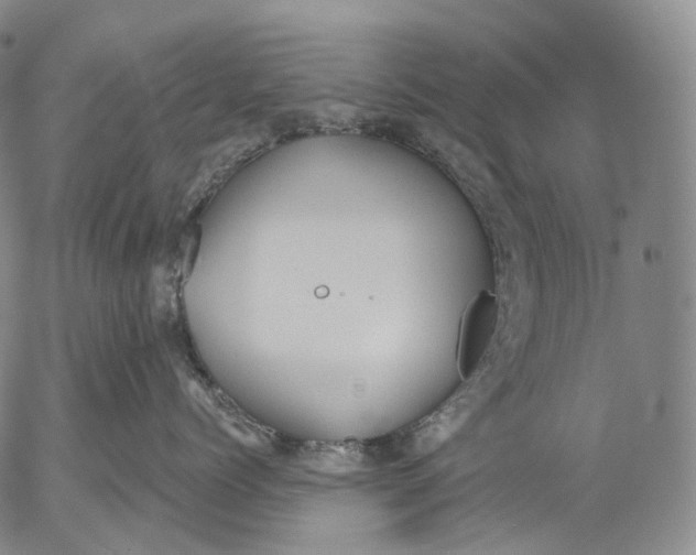 X0000052980768200507291551