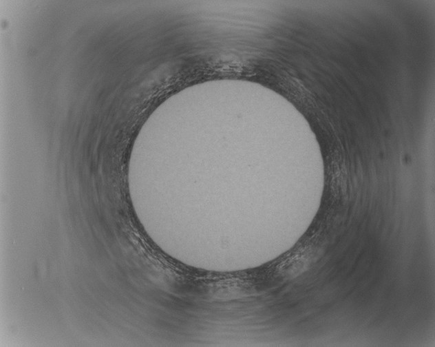 X0000052980769200507291551