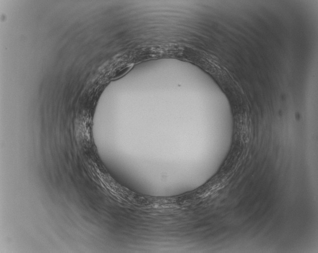 X0000052980770200507291551