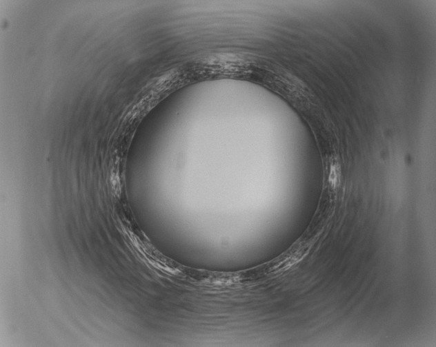 X0000052980771200507291551