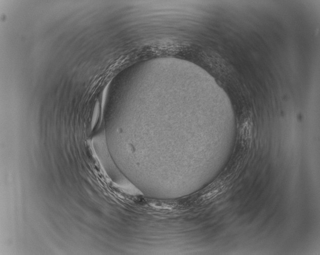 X0000052980772200507291551