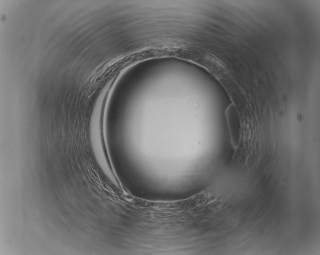 X0000052980773200507291551