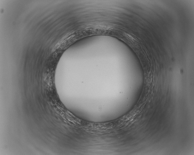 X0000052980774200507291550