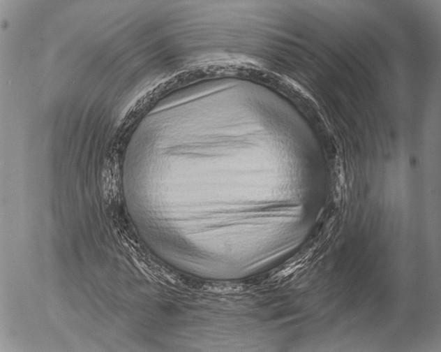 X0000052980775200507291550