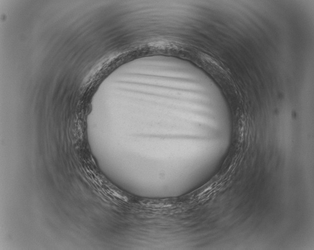 X0000052980776200507291550