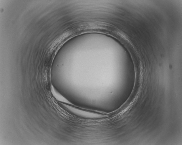 X0000052980777200507291550