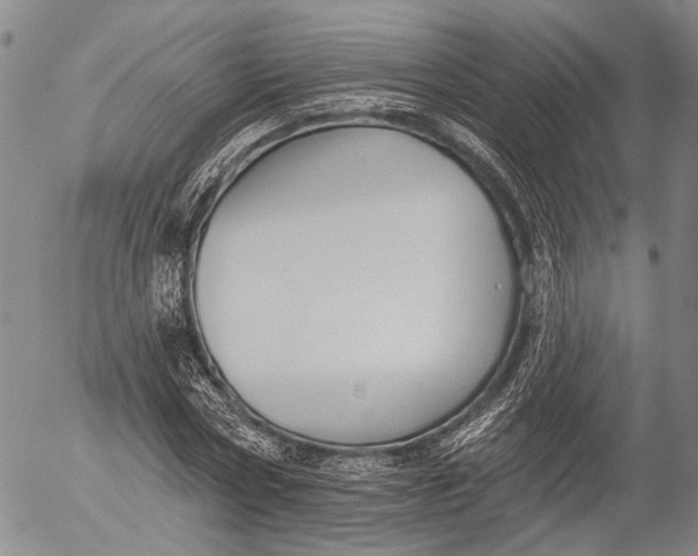 X0000052980778200507291550