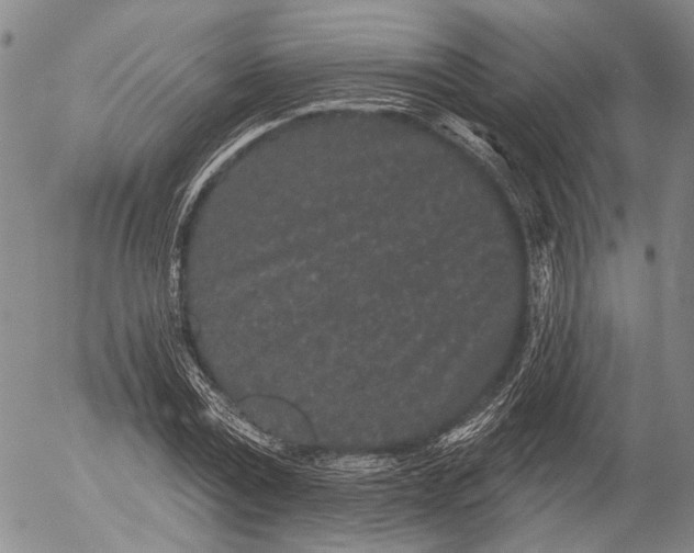 X0000052980779200507291550