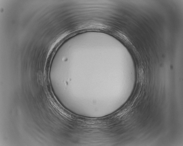 X0000052980780200507291550