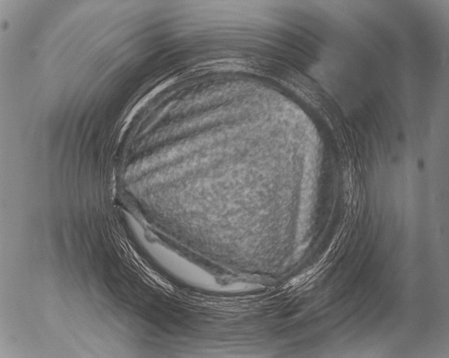 X0000052980782200507291550