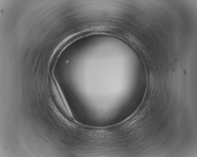 X0000052980784200507291550