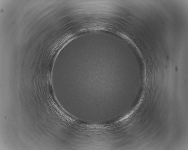 X0000052980785200507291550