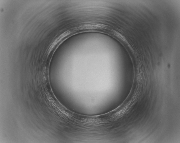 X0000052980786200507291550