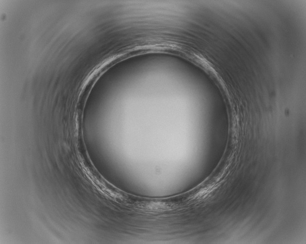 X0000052980787200507291550