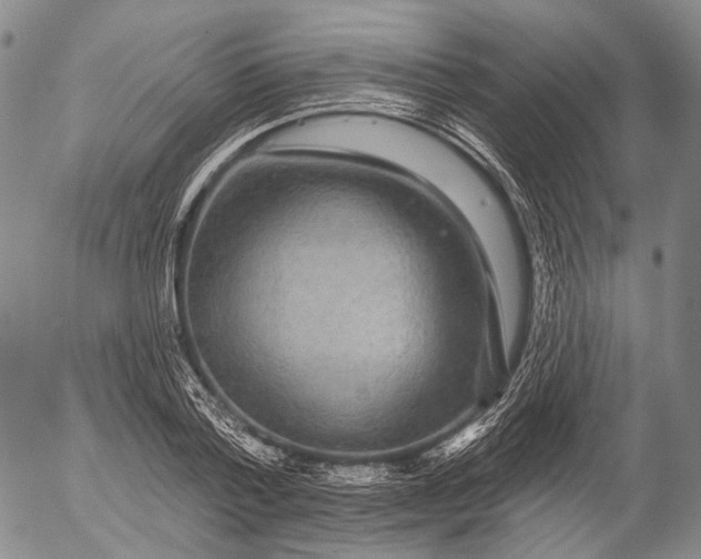 X0000052980788200507291550