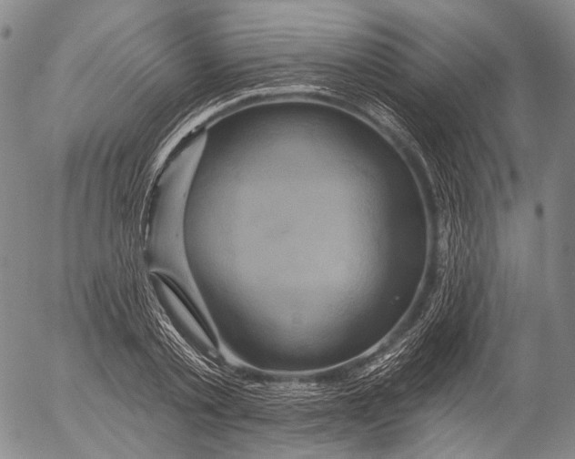 X0000052980789200507291550