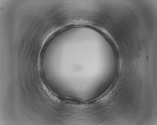 X0000052980791200507291550