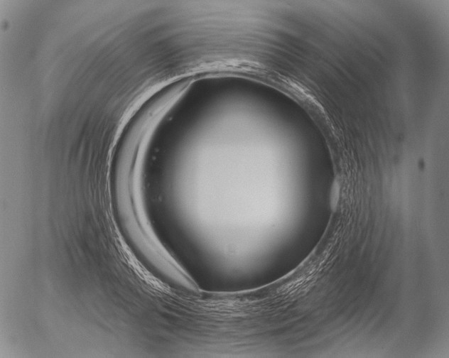 X0000052980792200507291550