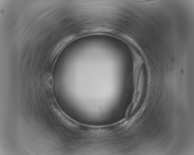 X0000052980793200507291550