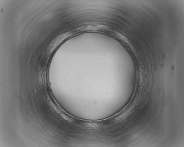 X0000052980794200507291550