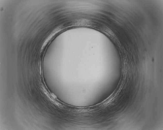 X0000052980796200507291550