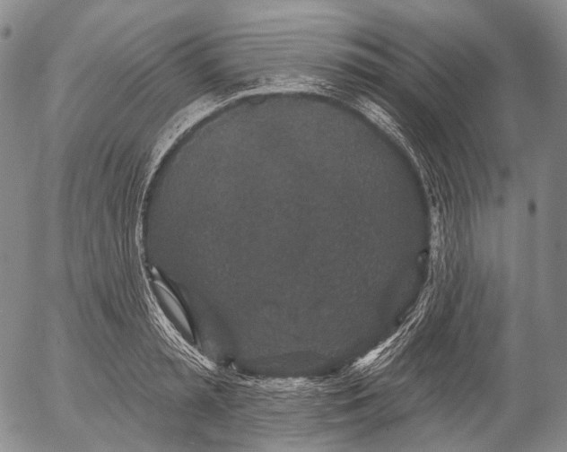 X0000052980797200507291550