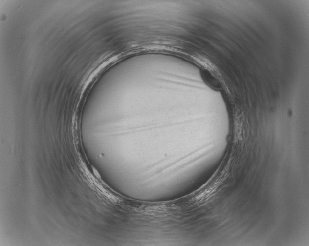 X0000052980798200507291550