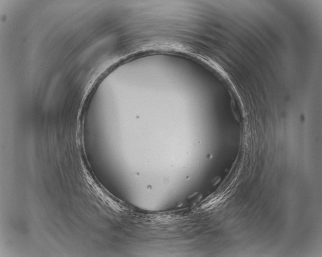 X0000052980799200507291550